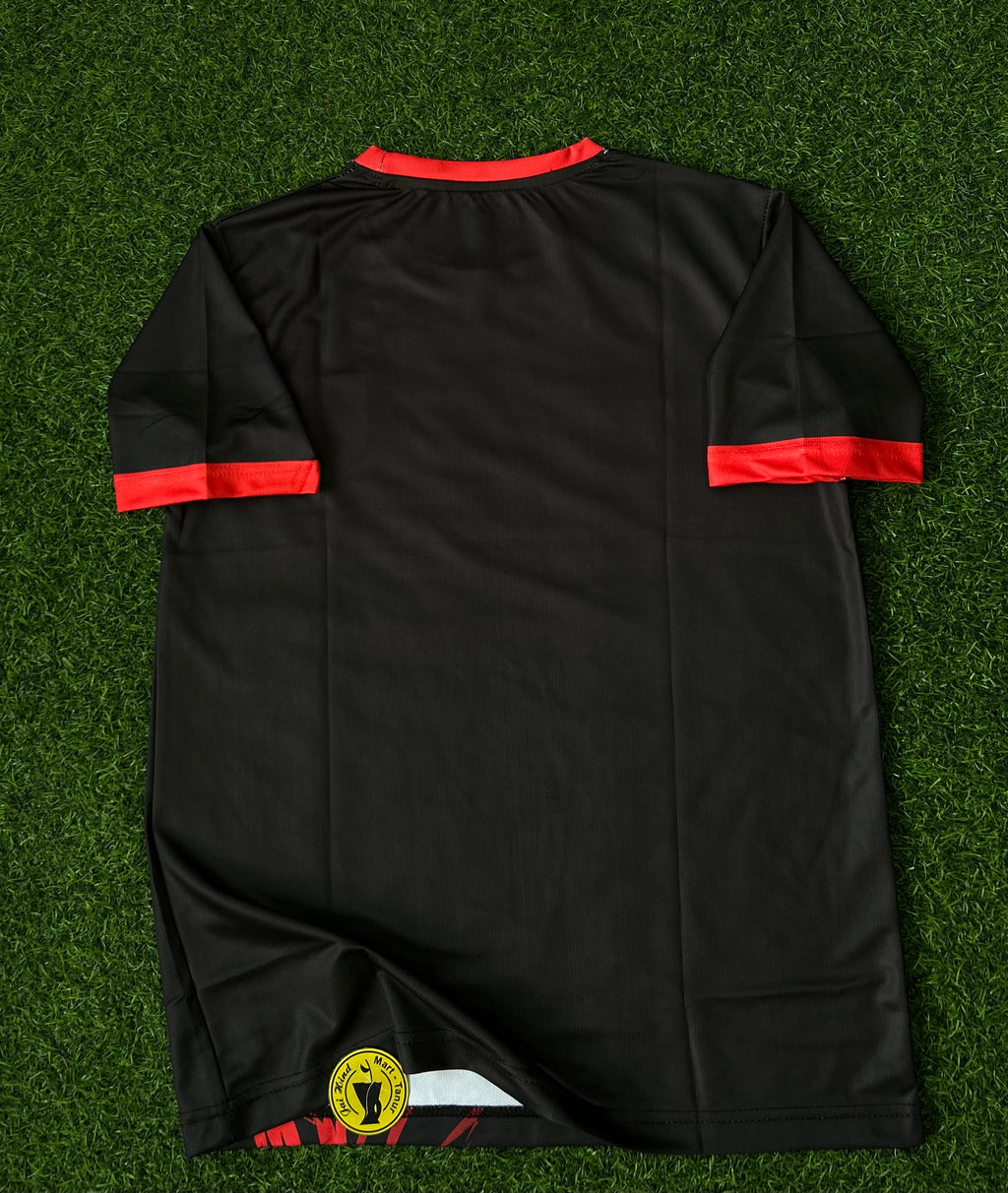 JAPAN x GOKU SPECIAL EDITION JERSEY, HALF SLEEVE EMBROIDERY
