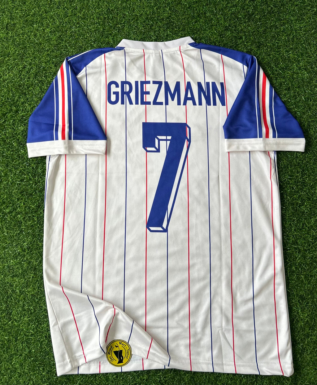 FRANCE 2026 TREFOIL CONCEPT JERSEY, HALF SLEEVE EMBROIDERY