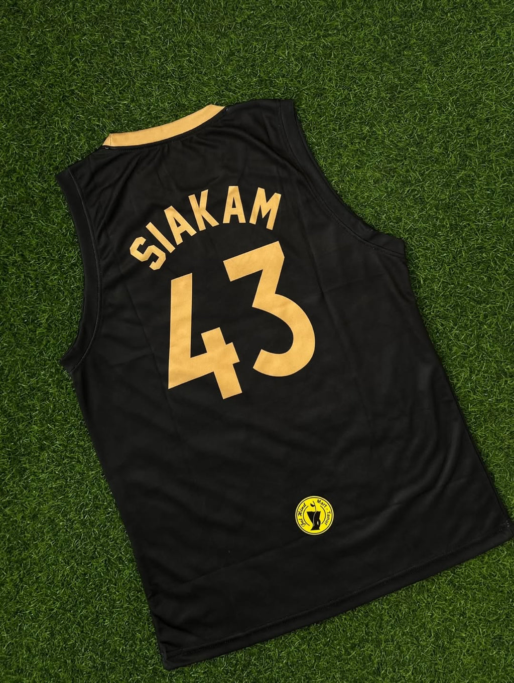 Toronto Raptors City Edition Swingman Jersey